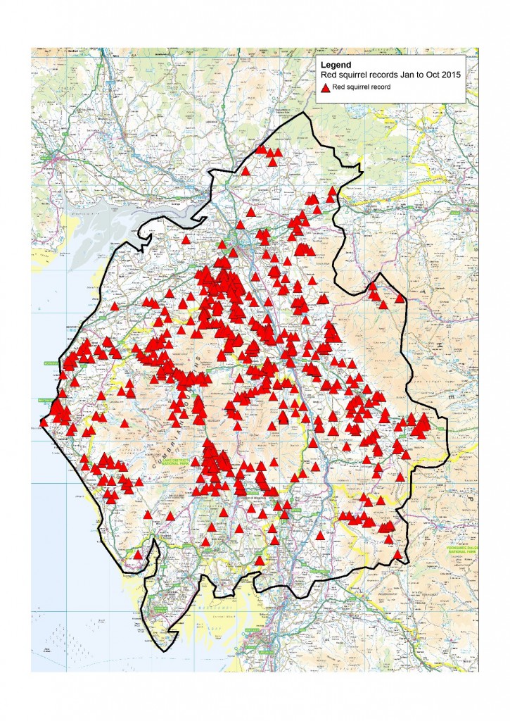 Cumbria reds Jan to Oct 2015 (2)