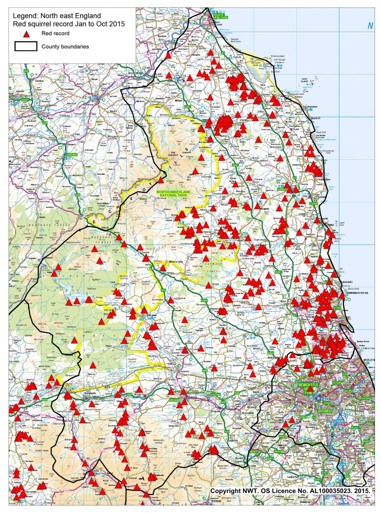 Red sightings north east Jan to Oct 2015