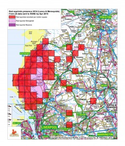 Red squirrel recorded presence 2014 Lancs &  Merseyside