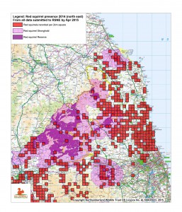 Red squirrel recorded  presence 2014 north east