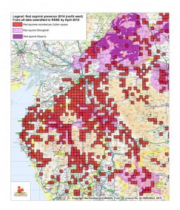 Red squirrel recorded presence 2014 north west