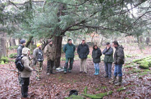 Find a Red Squirrel Group >>